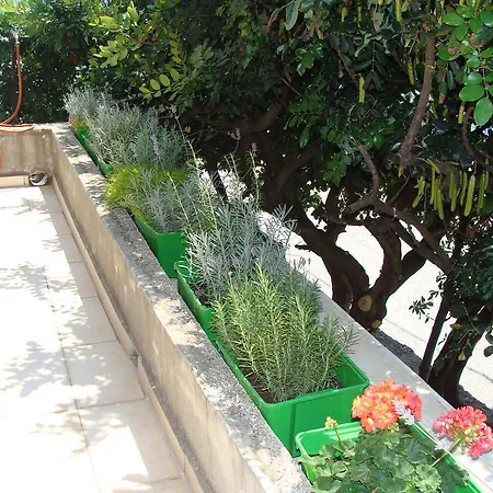 Apartament Nena