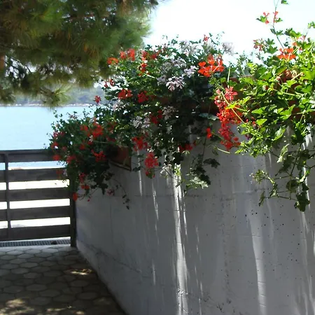 Apartament Nena Molunat