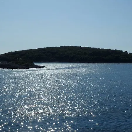 Apartament Nena Molunat